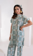 Ash I-L-008