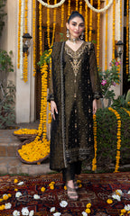 Olive Black SEM-0766